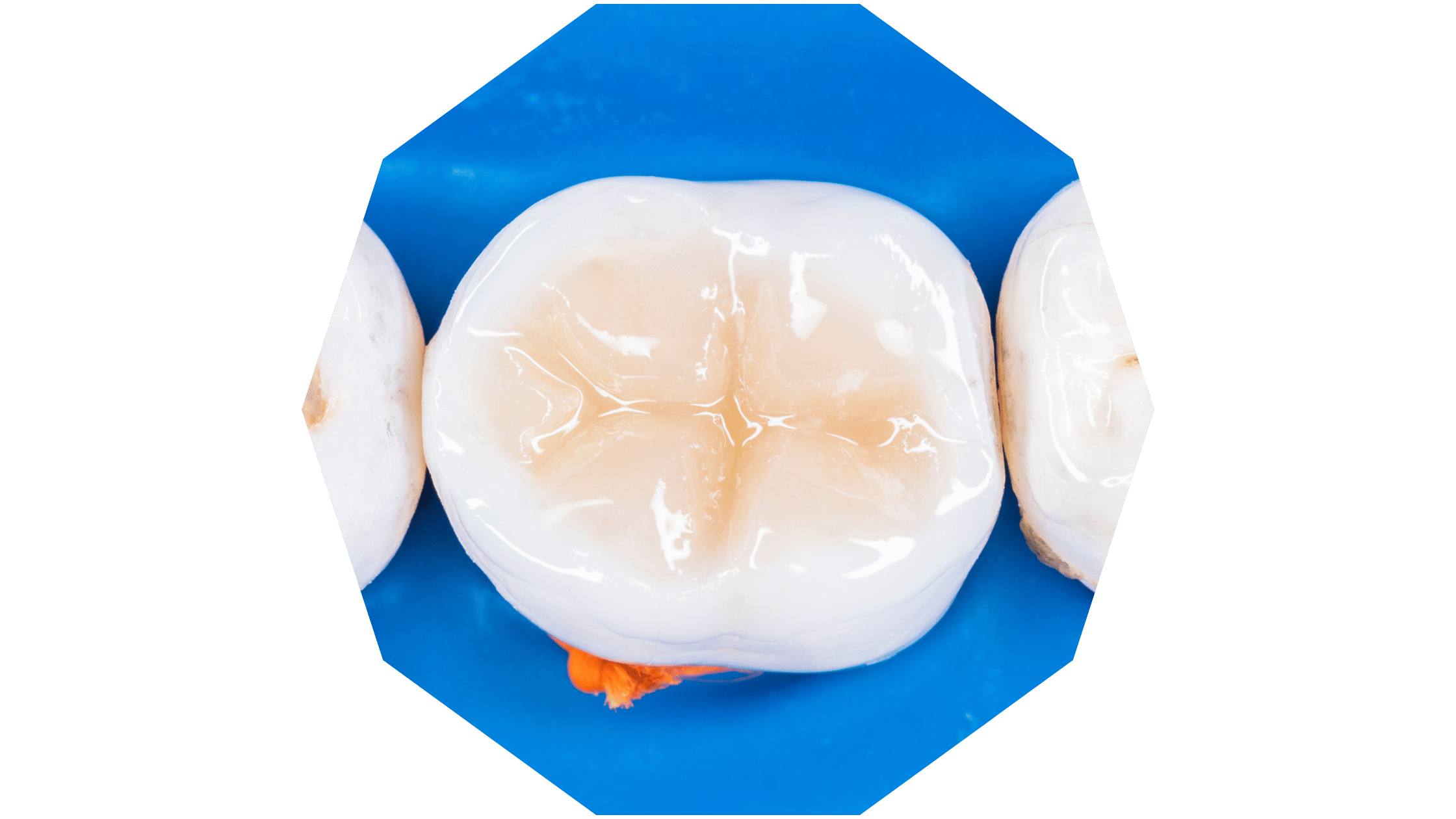 Untitled design (13)